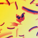 Az összes bolt polcairól eltűnik a listeriás csirkemell