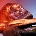 Az Ötzi-múmiában halálos vírus lappangott már 5300 éve?