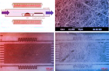 Az új elektronikus orr előre jelzi, hol üt be a penész