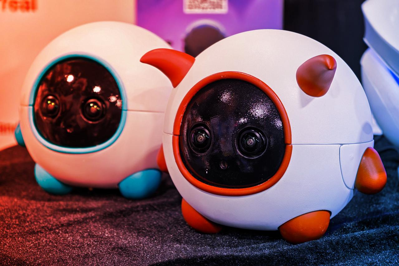 Az új kedvenc: saját operatőrt kap a háziállatod