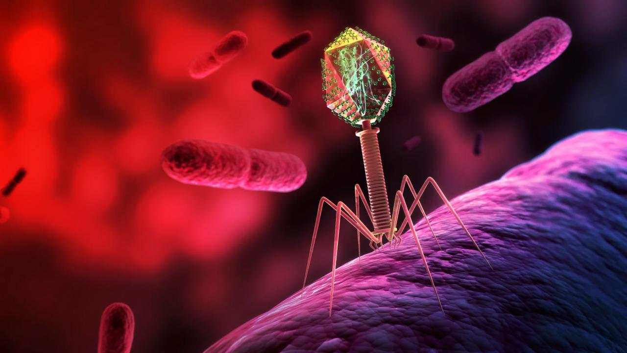 Az űrben felturbózott vírusok lehetnek a szuperbaktériumok veszte?