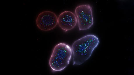 Megérkezett az immunrendszer új ütőkártyája a rák ellen