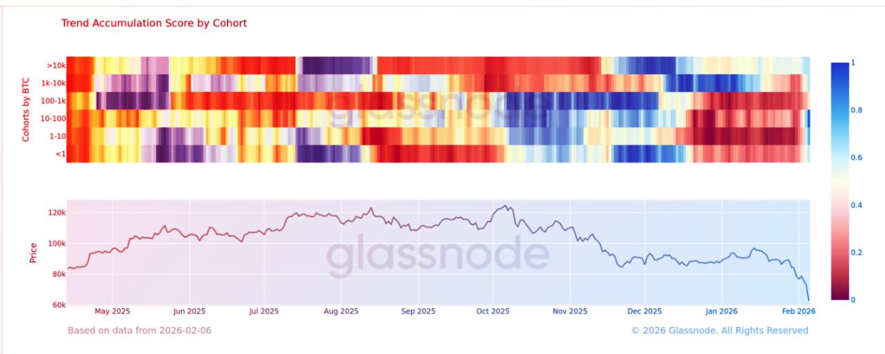 A bitcoin-befektetők visszatértek: széles körű felvásárlási hullám indult