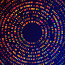 A DNS-lottó mítosza: Tényleg becsapnak a genetikai tesztek?