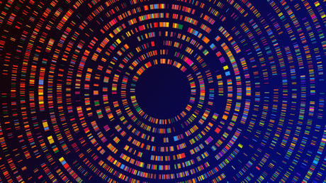 A DNS-lottó mítosza: Tényleg becsapnak a genetikai tesztek?