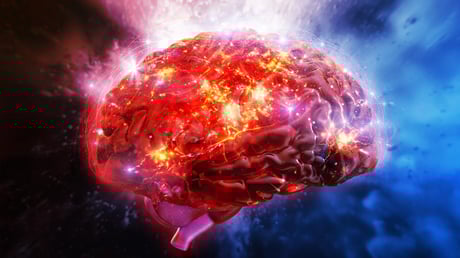 A keserű íz azonnal felpörgeti az agyad