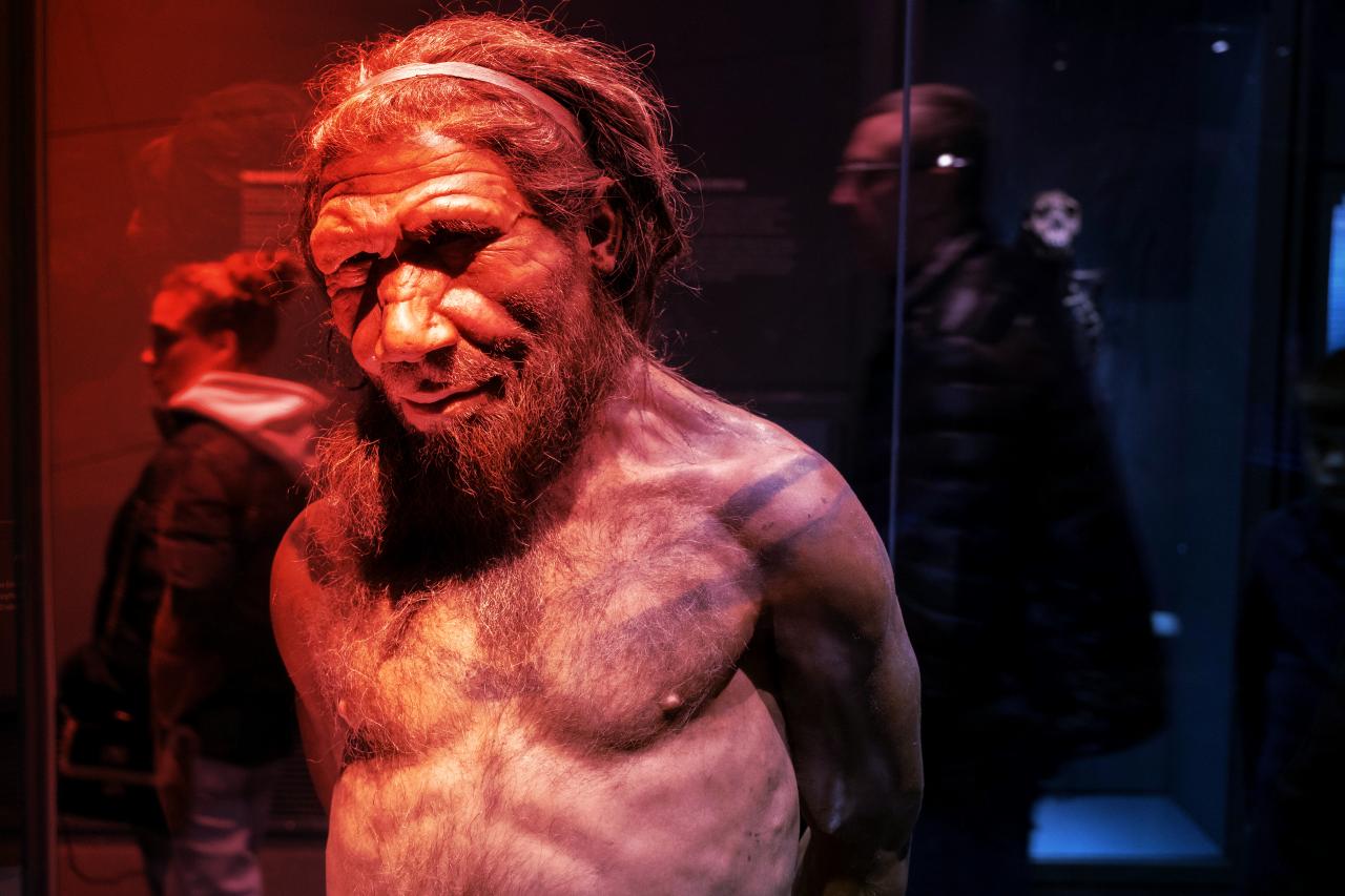 A közös múltunk a neandervölgyiekkel döbbenetes titkot őriz