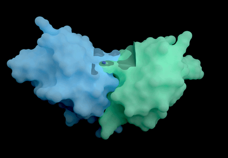 A mesterséges intelligencia, amely forradalmasítja a gyógyszerkutatást