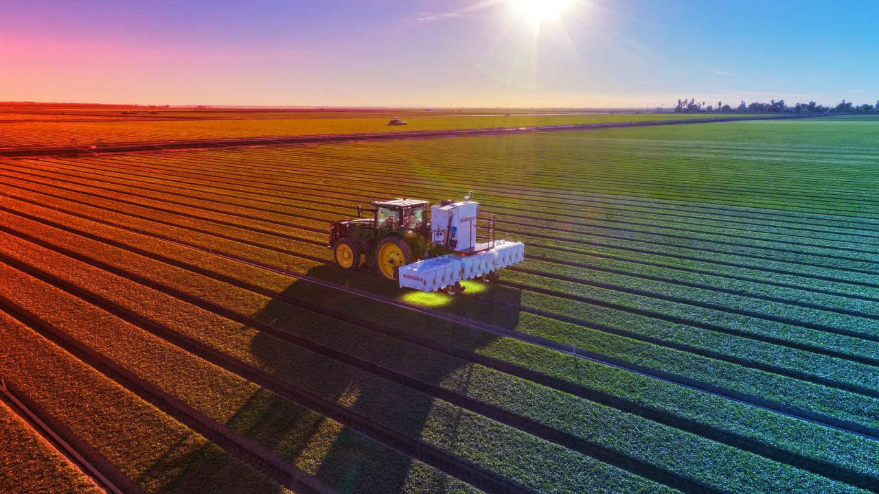 A mesterséges intelligencia már kiszúrja a gyomokat, a gazdák ujjonganak