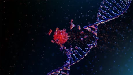 A rák legyőzhetetlenségének kulcsa: egy enzim