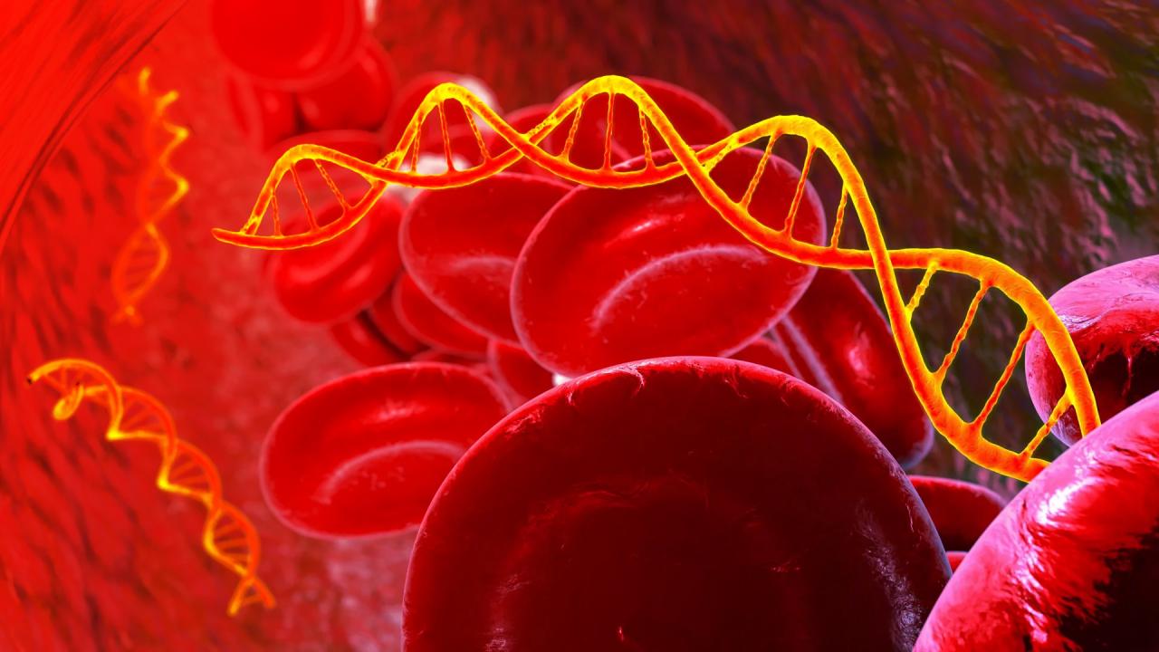 A rák új ujjlenyomata: rejtett üzenetek a vérben