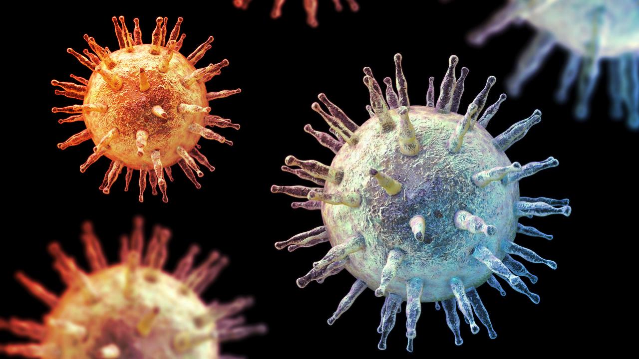 A rejtélyes Epstein–Barr-vírus: 22 gén tehet súlyosan beteggé