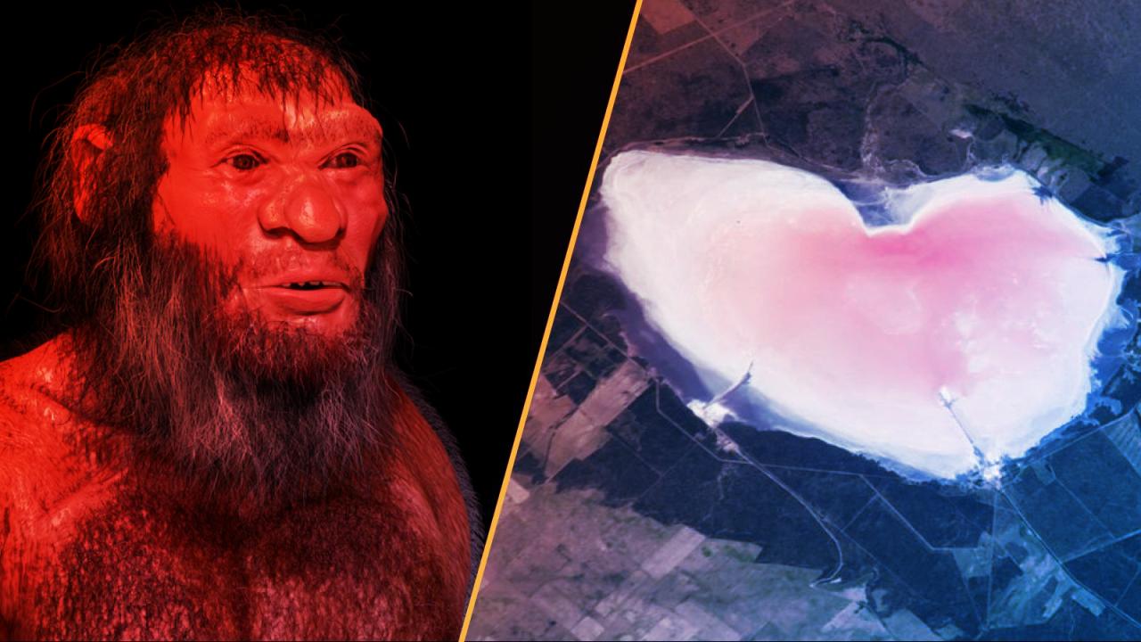 A viking óriás agyműtétje és Kína zöld forradalma: két világot rengető áttörés