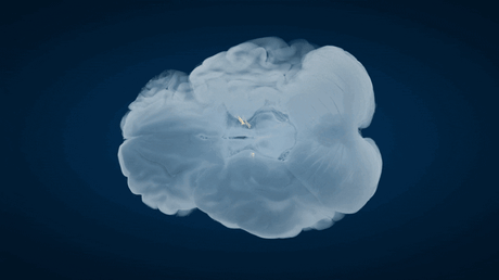 Az agy rejtett hálózata új megvilágításba helyezi a Parkinson-kórt