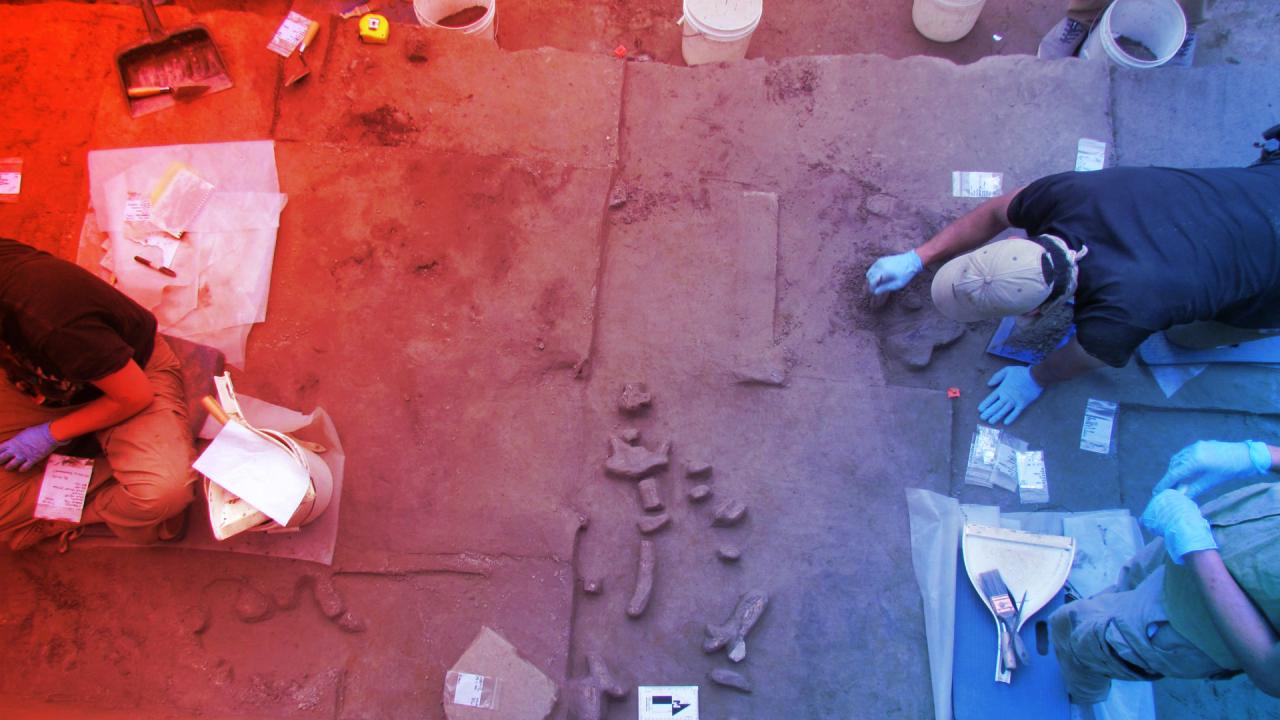 Az alaszkai mamutagyarak átírják Amerika benépesülésének történetét