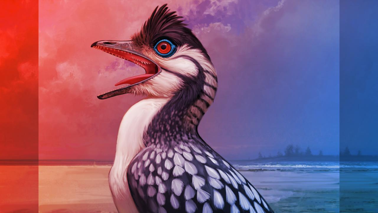 Az Archaeopteryx szájának titkai: bizarr fogak és elképesztően mozgékony nyelv