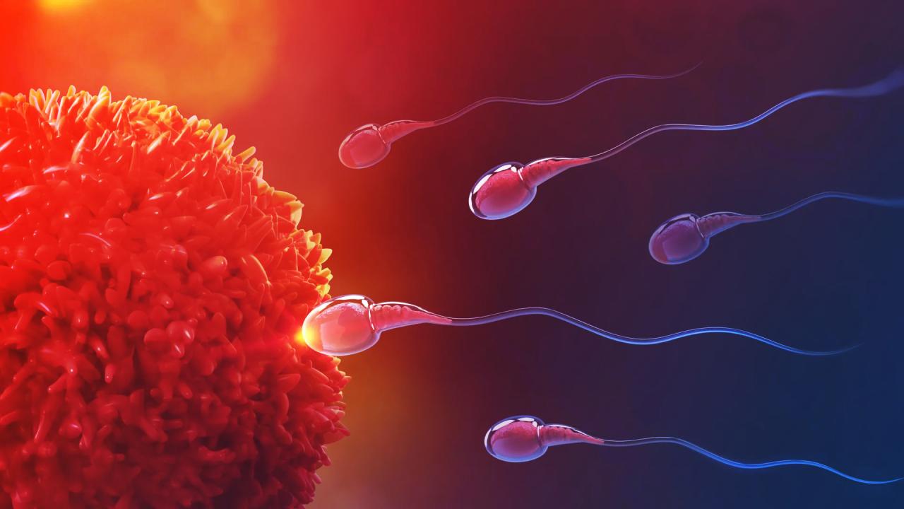 Az áttörés, amely forradalmasíthatja a férfi fogamzásgátlást