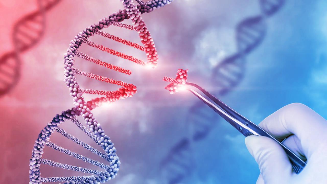 Az áttörő CRISPR-technika megállíthatja és visszafordíthatja az antibiotikum-rezisztenciát