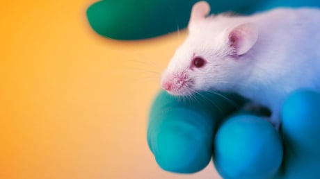 Az áttörő orrspray-vakcina: védelem vírusok, baktériumok és allergének ellen