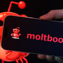 Az első MI-közösségi oldal, ahol robotok robotoknak posztolnak