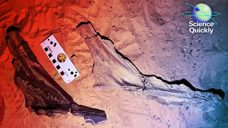 Az ember visszatér a Holdra, az egér az új szupervakcinára tüsszent