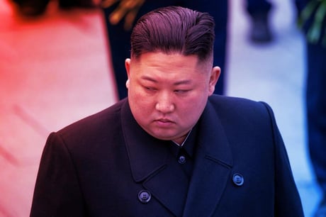 Az észak-koreai hekkerek új fegyvere: Medusa az egészségügy ellen