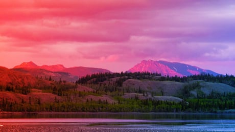 Az északi kanadai erdők ötszörösére fokozhatják a CO2-megkötést