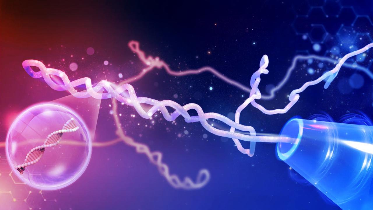 Az évtizedes tévhit: a DNS nem csomósodik, hanem csavarodik