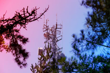 Az MI megállíthatja az erdőtüzeket még a kezdetük előtt?