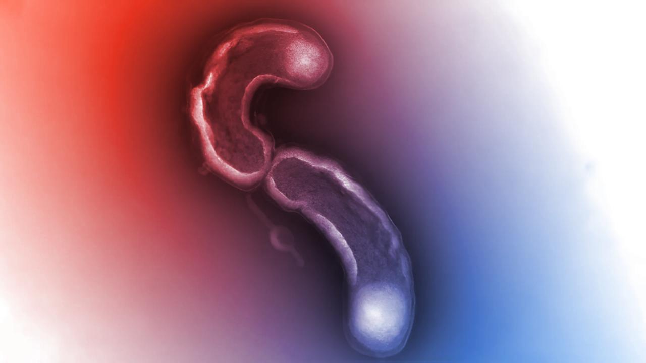 Az óceán rejtőzködő zsenije, akit a saját esze veszélyeztet