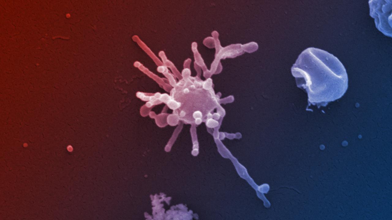 Az ősi Asgard-mikrobák már oxigénből éltek?