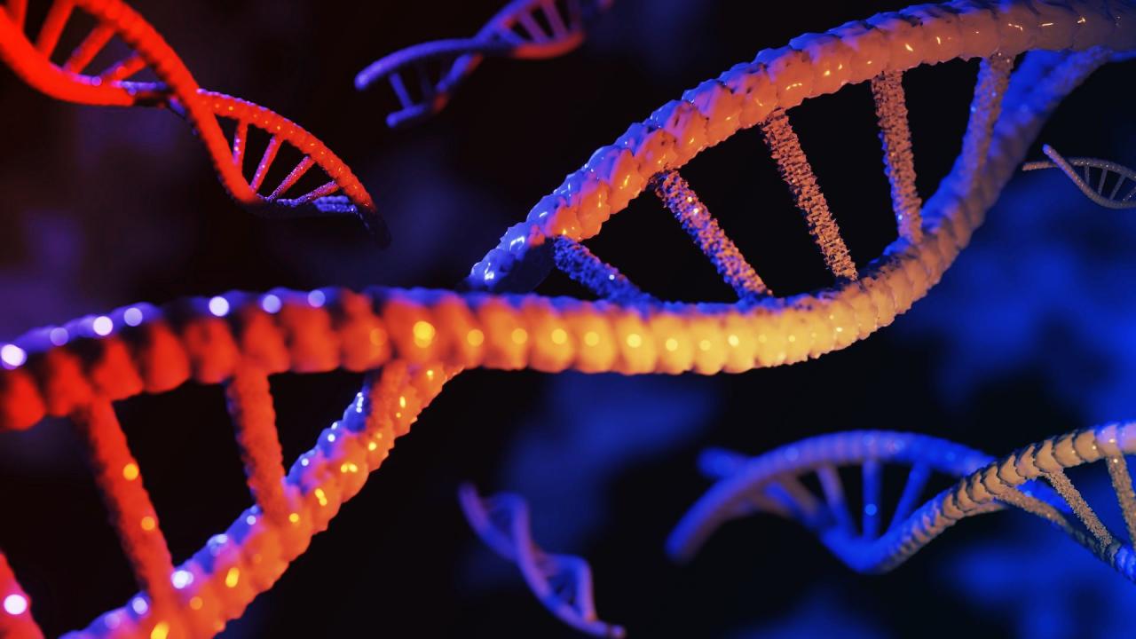 Az otthoni genetikai tesztek csábító ígéretei és kockázatos buktatói