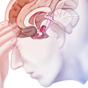 Az új pszichiátriai kézikönyv tényleg lezárja a diagnózisok korszakát?