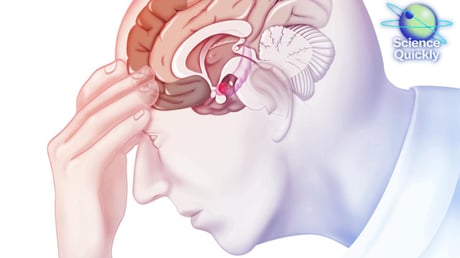 Az új pszichiátriai kézikönyv tényleg lezárja a diagnózisok korszakát?