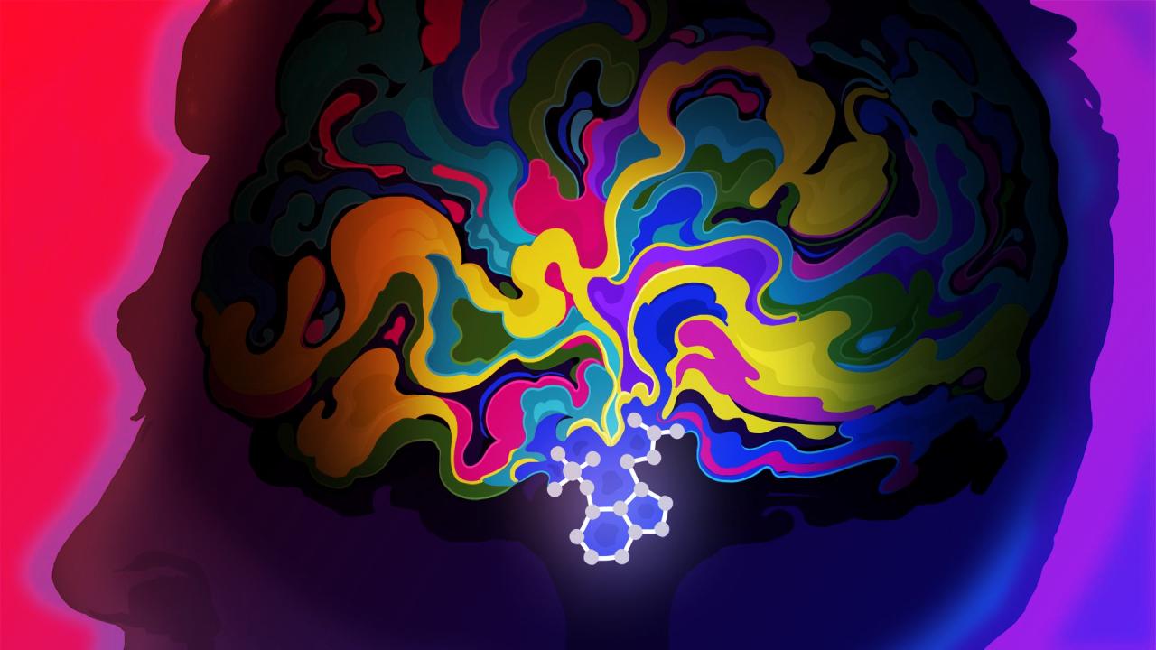 Az újjáépülő agy: MDMA és pszilocibin áttörik a PTSD falát