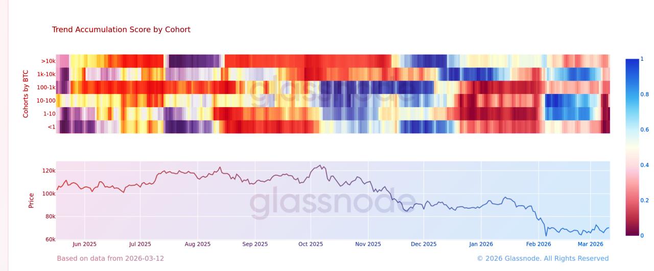 A Bitcoin-piac tombol: pánik a tömegben, mégis kitart az árfolyam