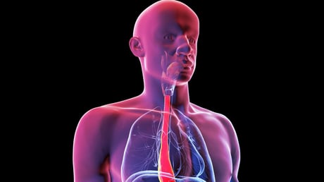 A digitális ikrek forradalma: személyre szabott műtétek küszöbén