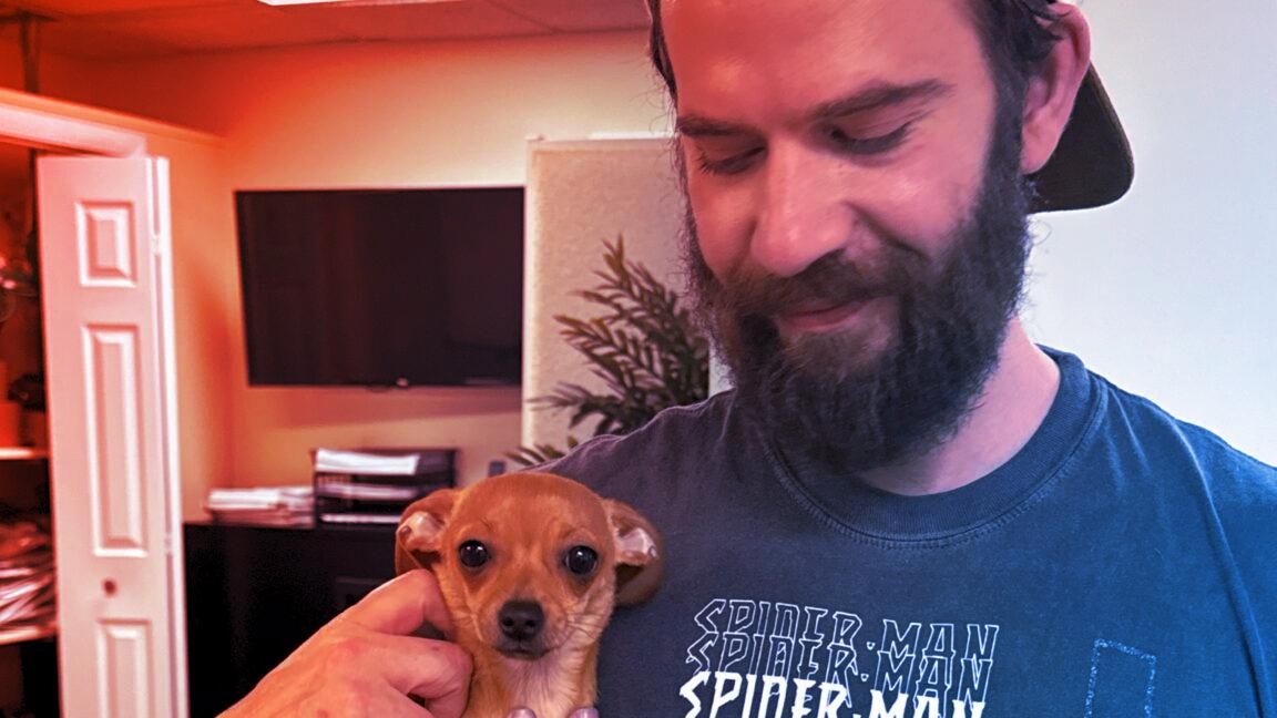 A Google Gemini sötét oldala: halálos küldetések MI-vezérléssel