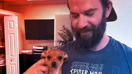 A Google Gemini sötét oldala: halálos küldetések MI-vezérléssel