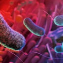 A hosszú élet kulcsa a bélflóránkban rejlik?