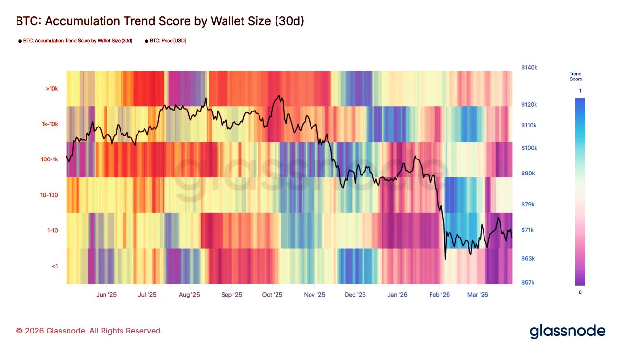 A kisbefektetők pánikban szórják a bitcoint, a nagyok kivárnak