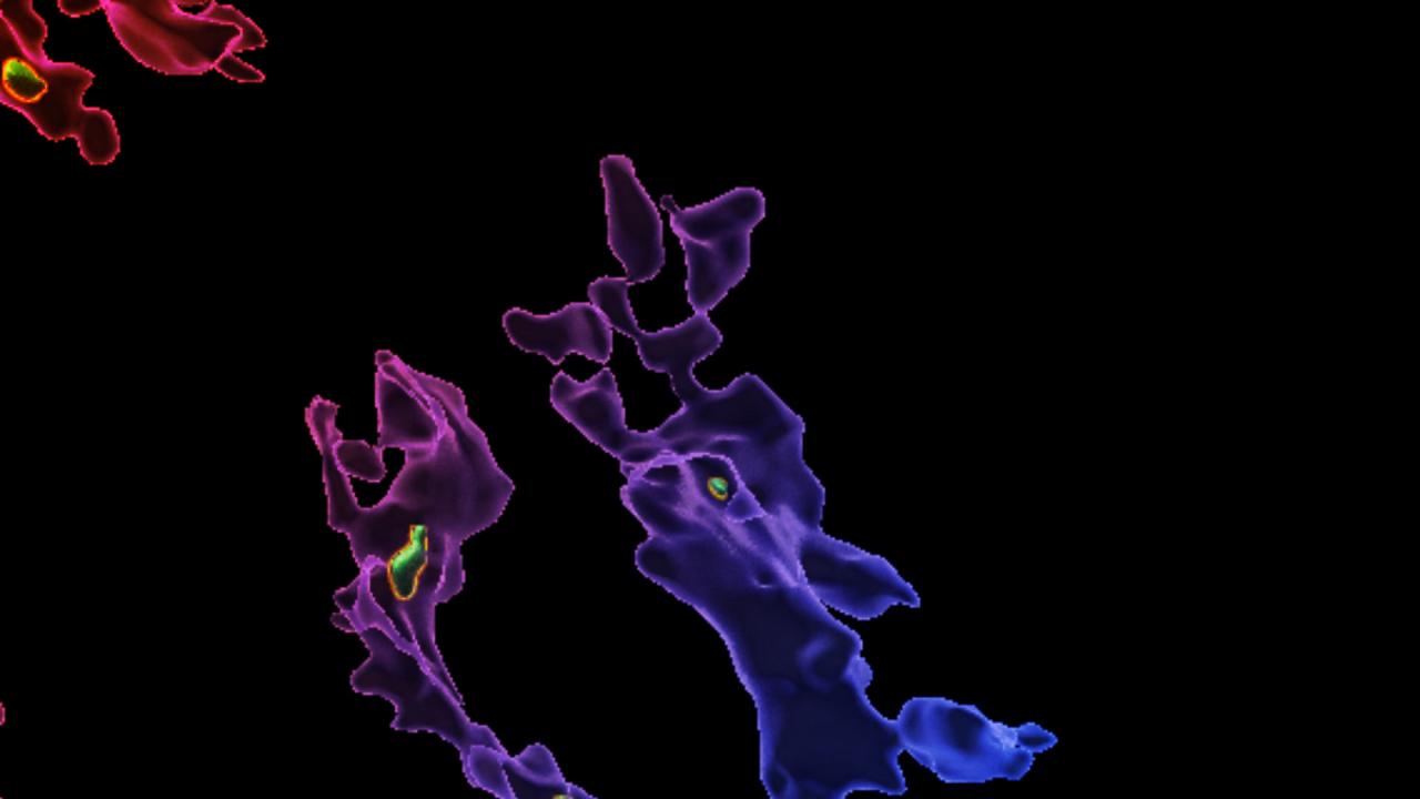 A mikroplasztikok eltömíthetik az emberi immunrendszert