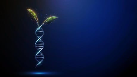 A növényekben rejtőző, 400 millió éves DNS-kapcsolók titkai