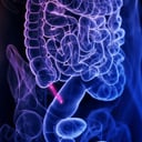 A vakbél: felesleges szerv vagy az evolúció rejtett aduásza?