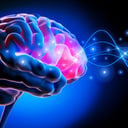 Az ADHD-s agy ébren is álomszerű transzba eshet