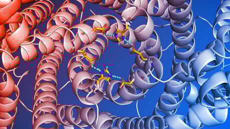 Az agy titkos védőszelepe: áttörés a Parkinson-kutatásban