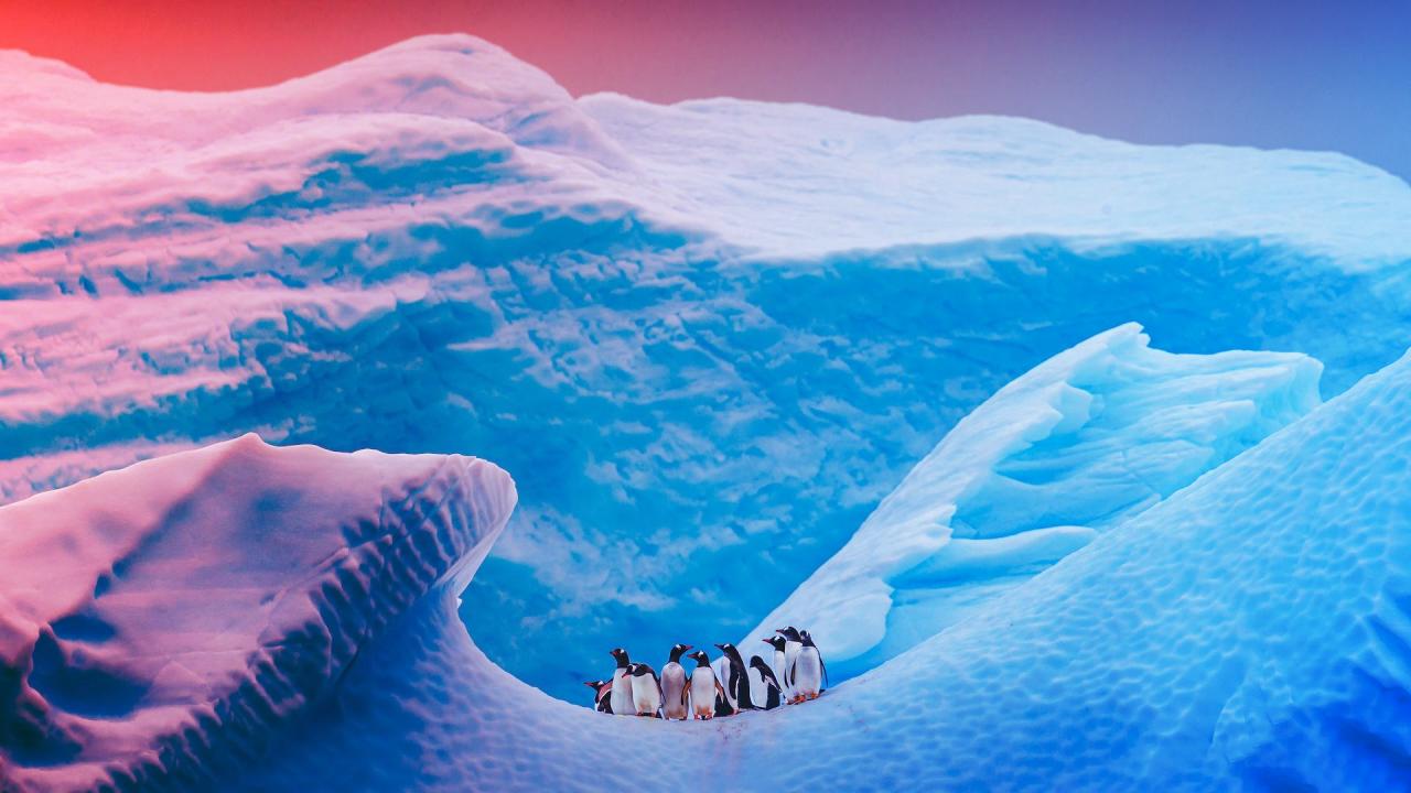 Az Antarktisz valaha teljesen jégmentes volt?