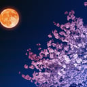 Az áprilisi Rózsaszín Hold látványos égi műsort ígér