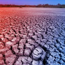 Az aszály titkos ára: elszabadulnak az antibiotikum-rezisztens kórokozók