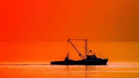 Az Atlanti-óceán sötét titkai: vegyi fegyverek a halászhálóban